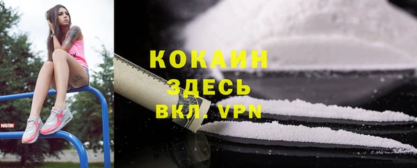 прущие грибы Алексин