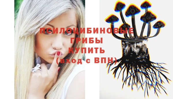 сатива Абаза