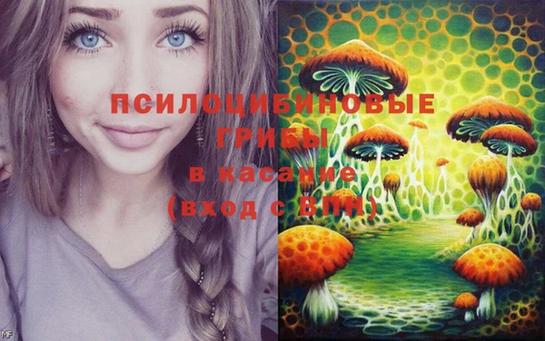 бутират Алзамай