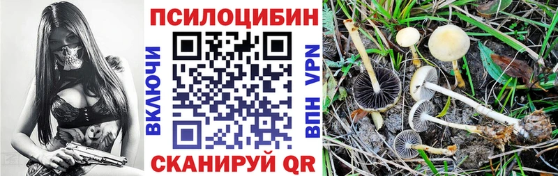 где купить наркотик  Кумертау  blacksprut ссылка  Псилоцибиновые грибы Psilocybine cubensis 